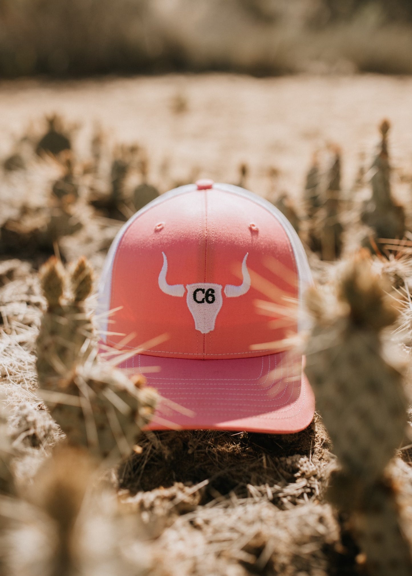 Pretty in pink Hat