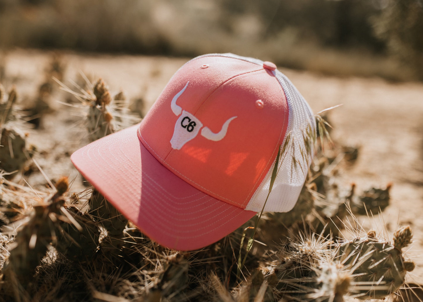 Pretty in pink Hat